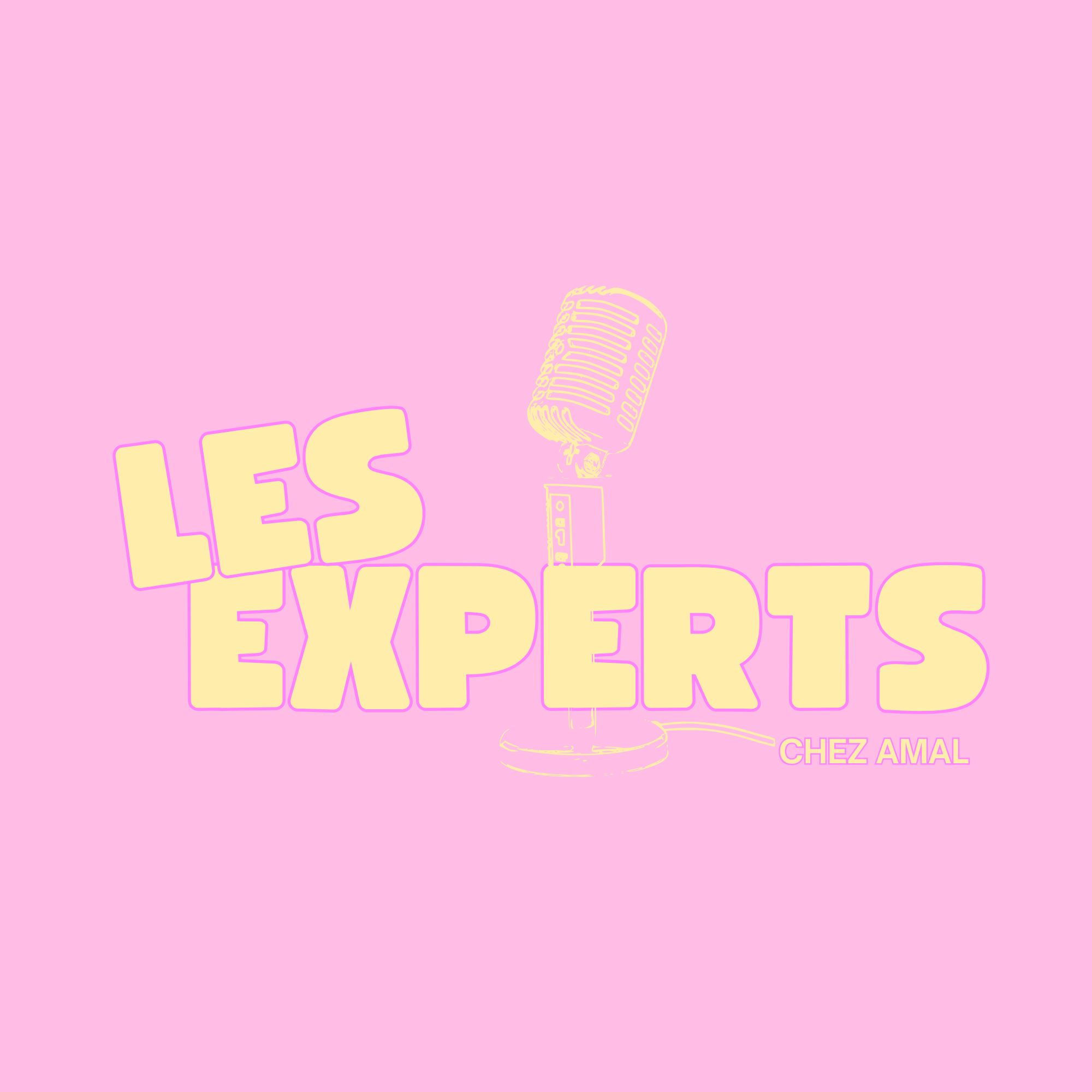 Les Experts chez Amal  — Amal